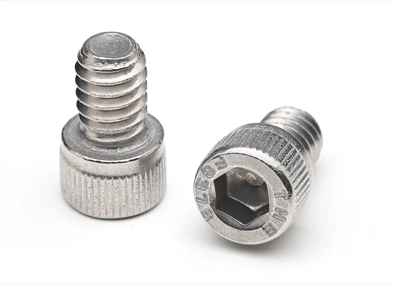 Two stainless steel hex socket head cap screws